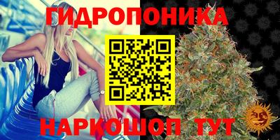 mdma Тулун