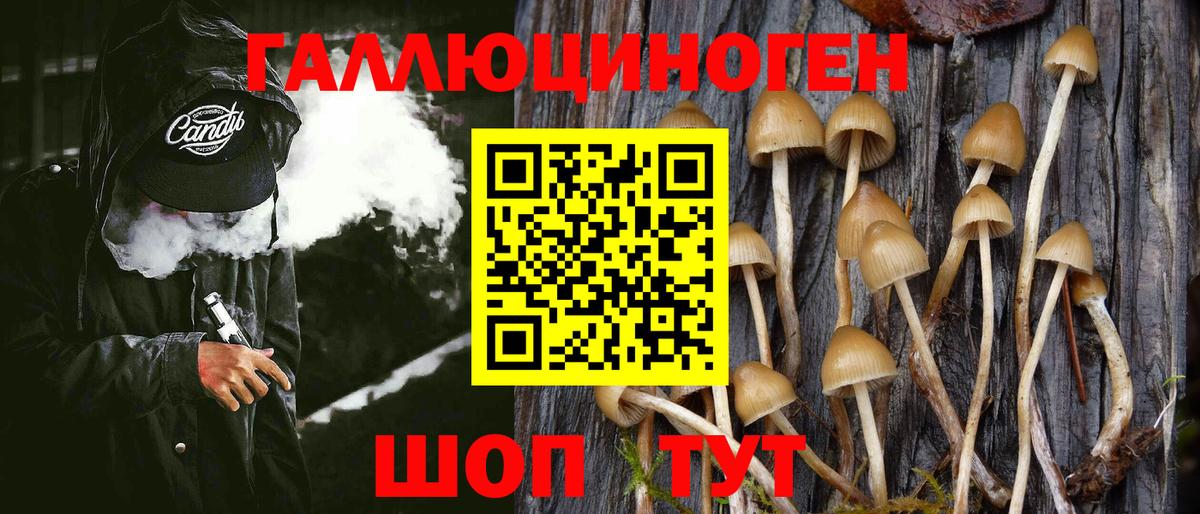 Галлюциногенные грибы Psilocybe  Галлюциногенные грибы Psilocybine cubensis  Вход с VPN  Малоярославец 